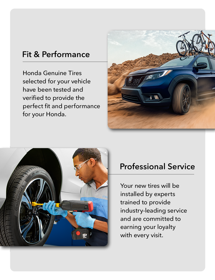 Fit & Performance - Professional Service